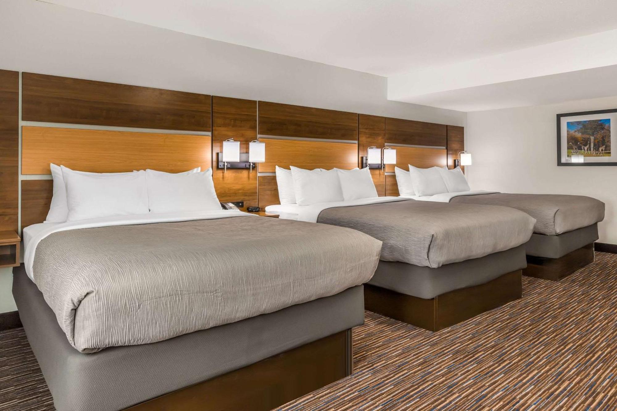 Quality Inn Asheboro South Buitenkant foto